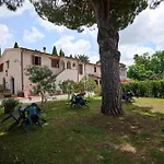 Lantgård Antichi Palmenti - Alloro
