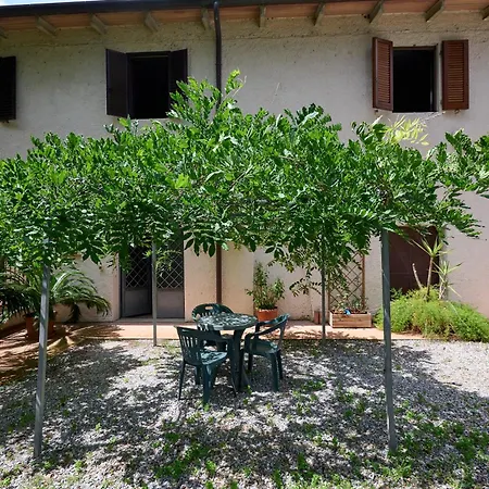 Antichi Palmenti - Alloro * San Vincenzo