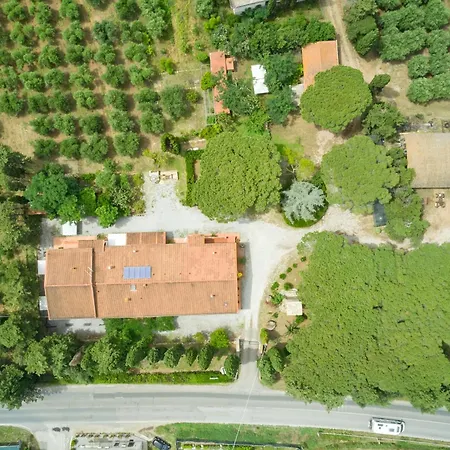 Antichi Palmenti - Alloro Farm stay *