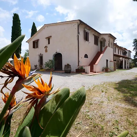 Farm stay Antichi Palmenti - Alloro *