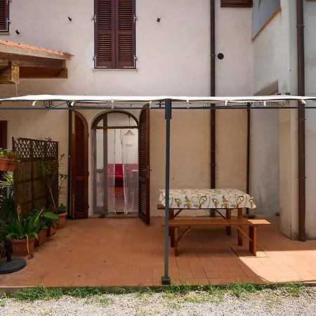 Antichi Palmenti - Alloro *