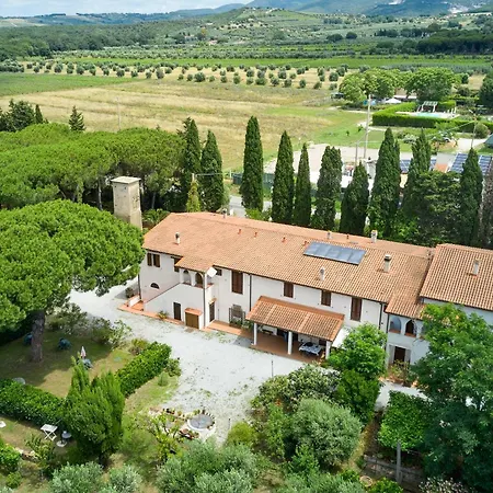 Antichi Palmenti - Alloro San Vincenzo