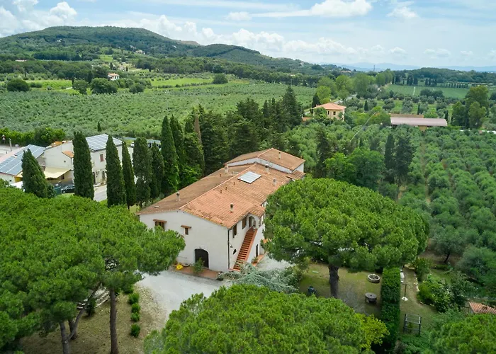 Antichi Palmenti - Alloro San Vincenzo